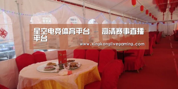 案例标题二