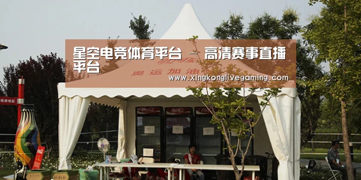 案例标题五
