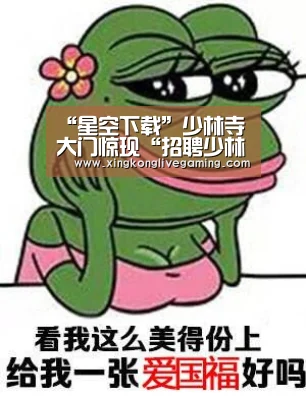 “星空下载”少林寺大门惊现“招聘少林武僧”启事 月薪五千(图1) 星空APP