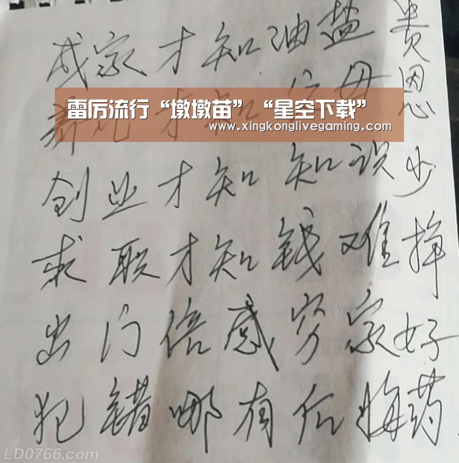 雷厉流行“墩墩苗”“星空下载”(图3) 星空APP
