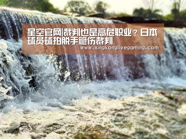 星空官网|裁判也是高危职业?日本球员球拍脱手砸伤裁判(图1) 星空APP